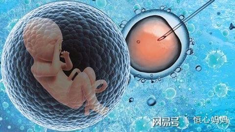 怀代生包成功借卵生子